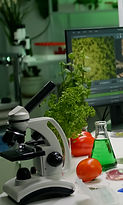 scientists-researchers-working-in-biotechnology-la-2022-02-24-15-21-22-utc.JPG