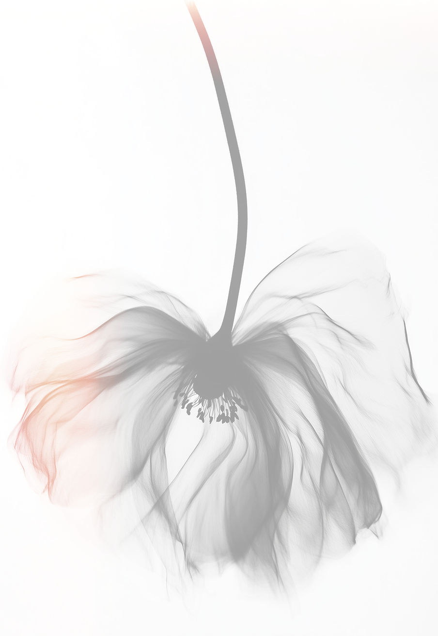 yuvalna_artistic_motion_blurred_black_an