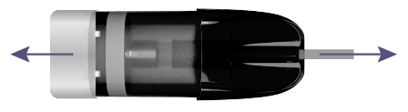 SALT PLUS FIRST LAUNCH