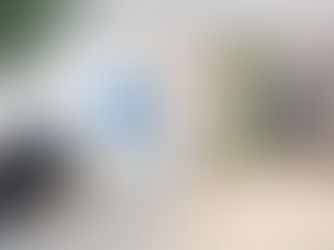 New SALT POINT Vape Shops