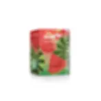 Diffuser Capsules CRISTALLITE Air - Watermelon, 2ml