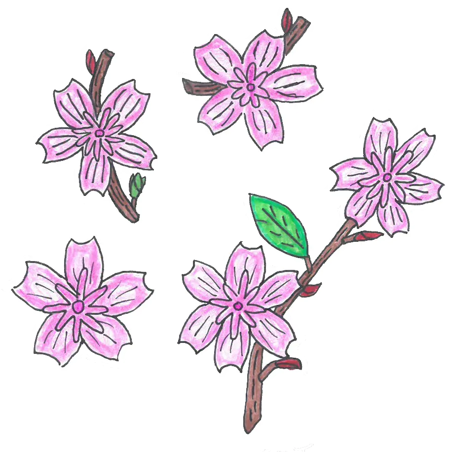 Writer: Japānas pasaka