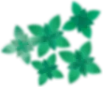 Cristallite_AIR_mint