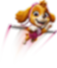 Sky Paw patrol minipixi