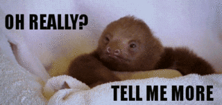 Sloth Tell GIF.gif
