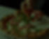 91720A41-14D2-4F55-94A2-3A9CBFB28359_edited_edited_edited_edited.jpg