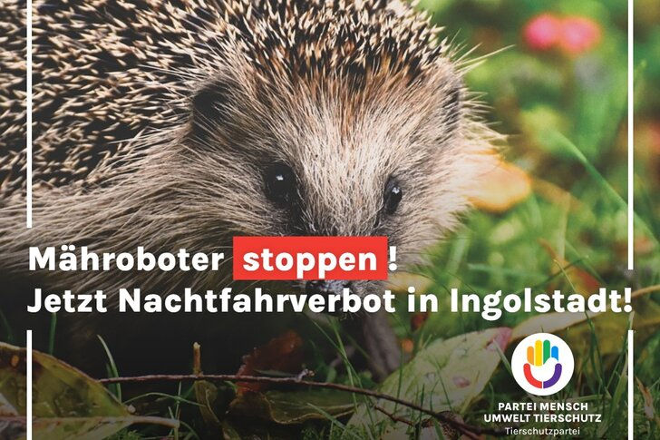 Online-Petition : Mähroboter Nachtfahrverbot jetzt in Ingolstadt!