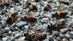 Pressemitteilung: Erst Mähroboter, dann Schottergärten: Stadtrat Ingolstadt verweigert erneut Verantwortung