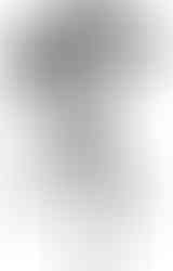 Folding Tripod Stool