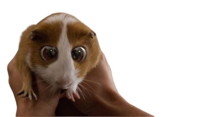 Cool-removebg-preview.png