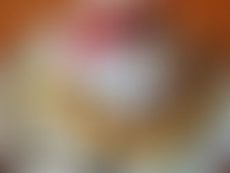 Things to Do in Waterloo Iowa in March Events & Weis Mansion