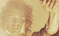 The Lord Of The Rings GIF - Find & Share on GIPHY