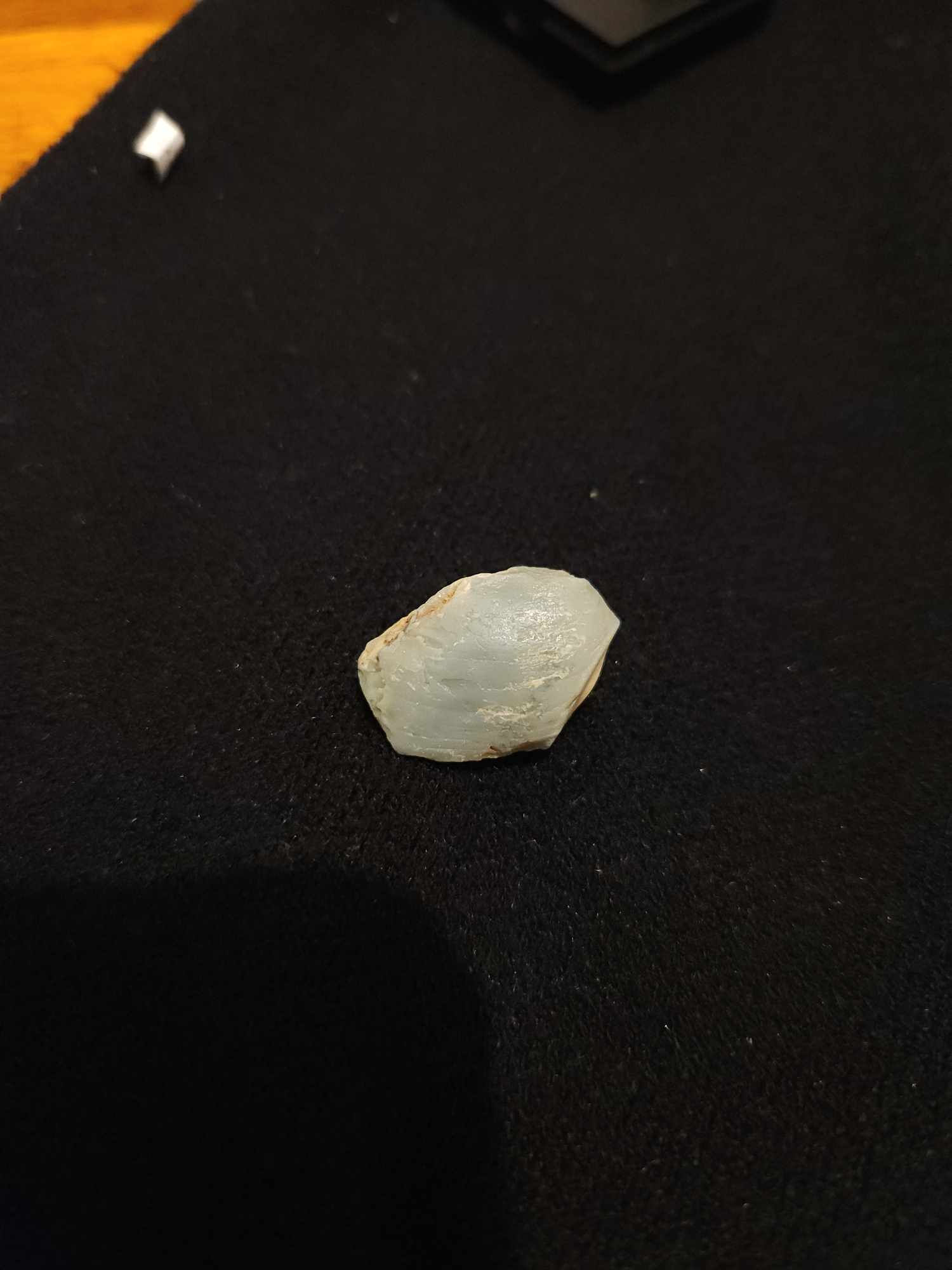 Opalised Shell    |    35.080ct