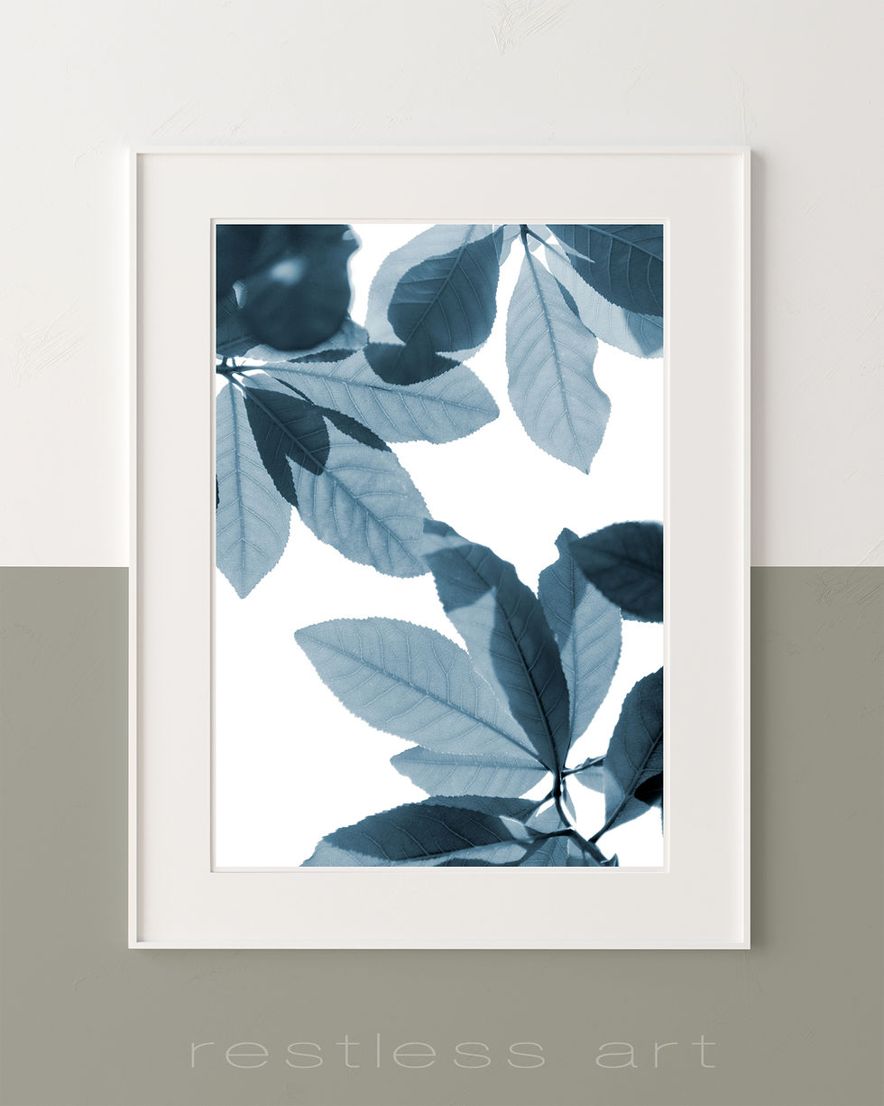 Thumbnail: Midnight Leaves
