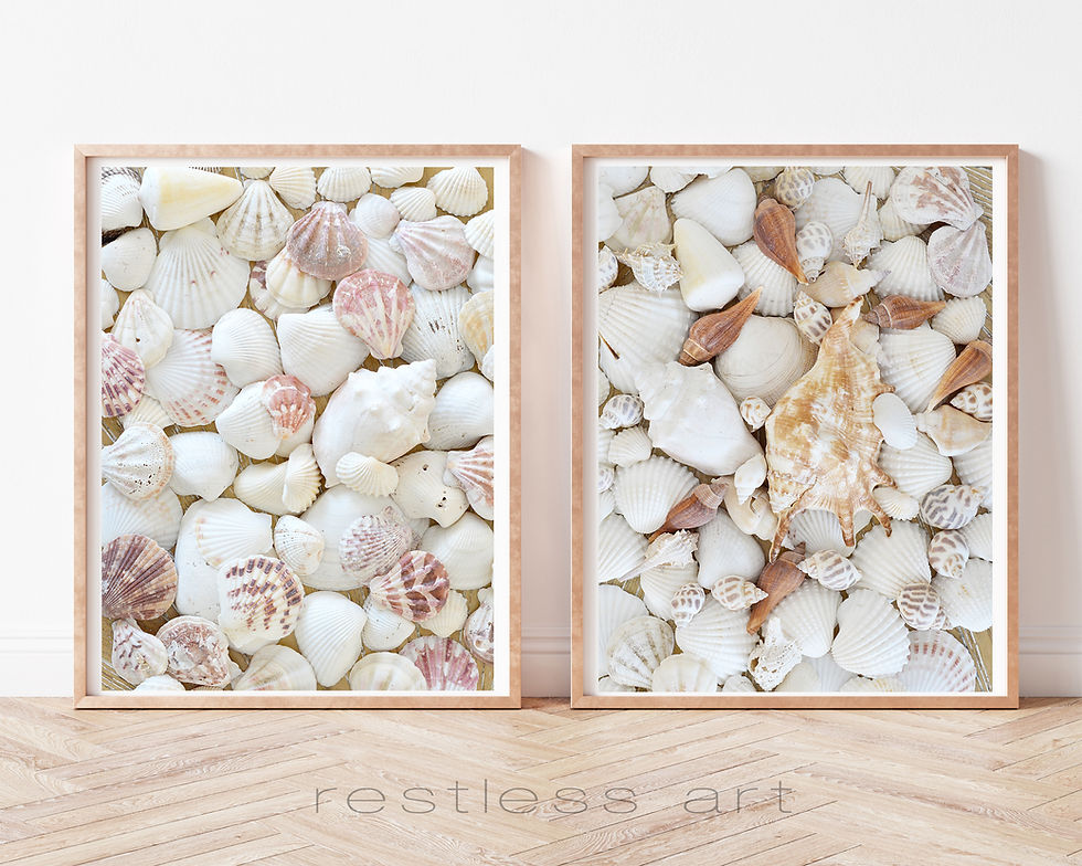 Thumbnail: Spiral Collection