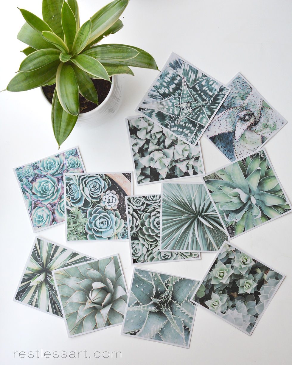Thumbnail: Sage Succulents | Square Set
