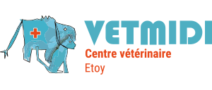 Vetmidi-logo-300x128px.png