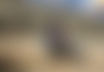 Adventure Sports in Himachal