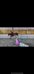 Equitrade image.jpg