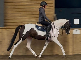 Equi-Trade Logo-2.jpg