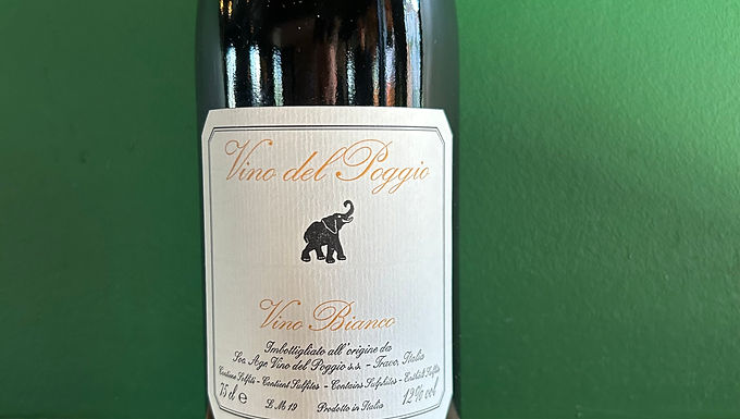 2019 Vino Del Poggio Bianco (Malvasia di Candia) - Emilia Romagna, IT