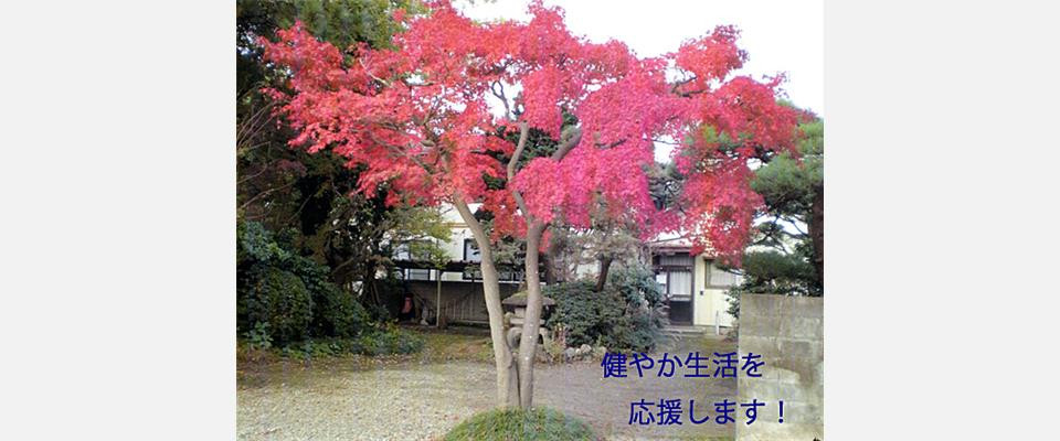 丸山生春医院の写真(新潟県燕市)
