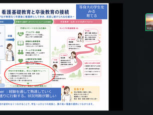 日本看護シミュレーションラーニング学会のイブニングセミナー