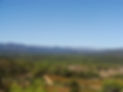DSC07445.JPG