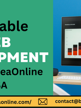 Affordable Web Development by Battersea Online USA