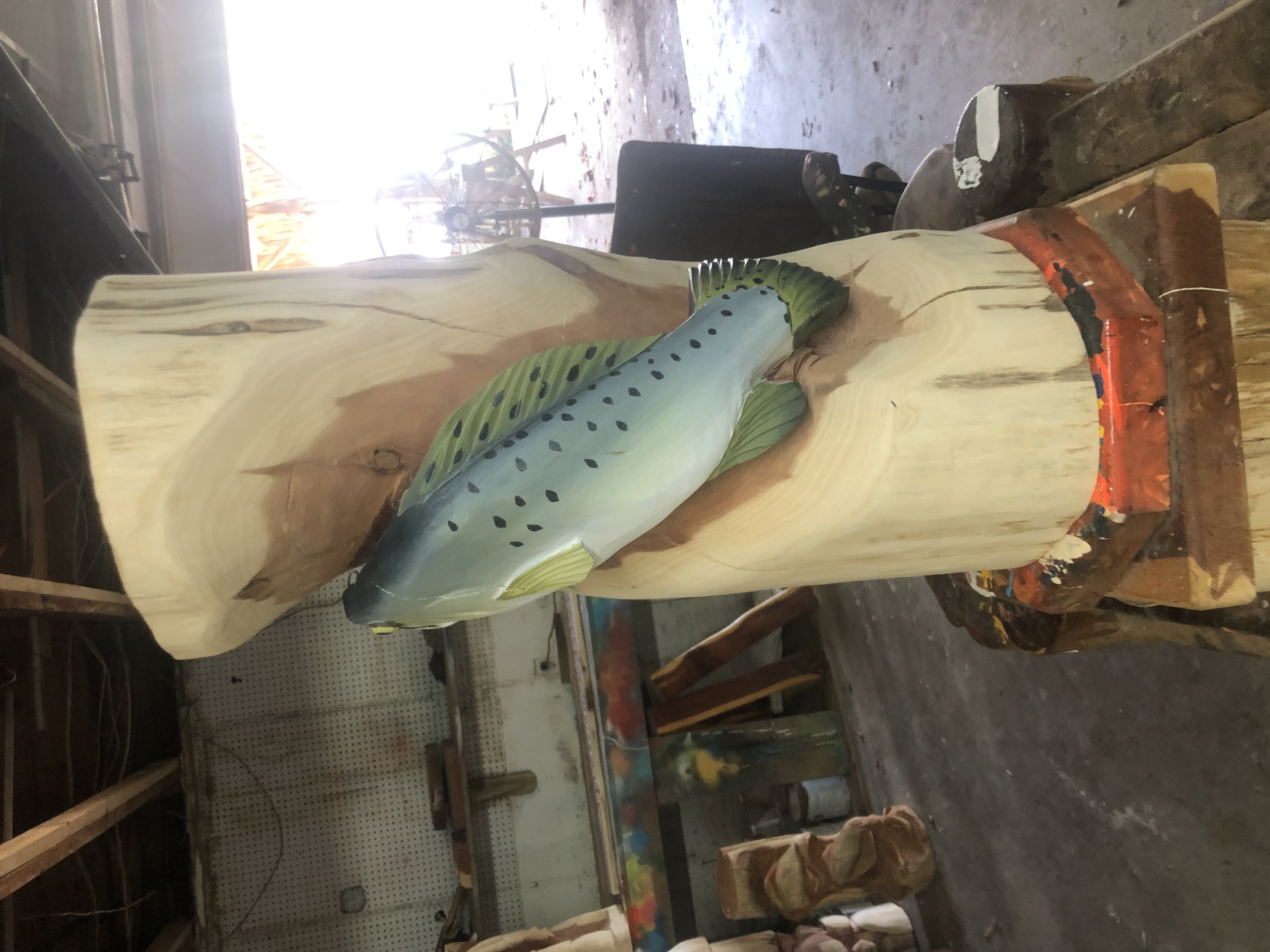 Speckled Trout 1