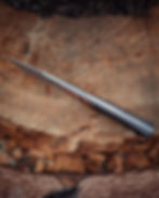 Thumbnail: Finned Scion