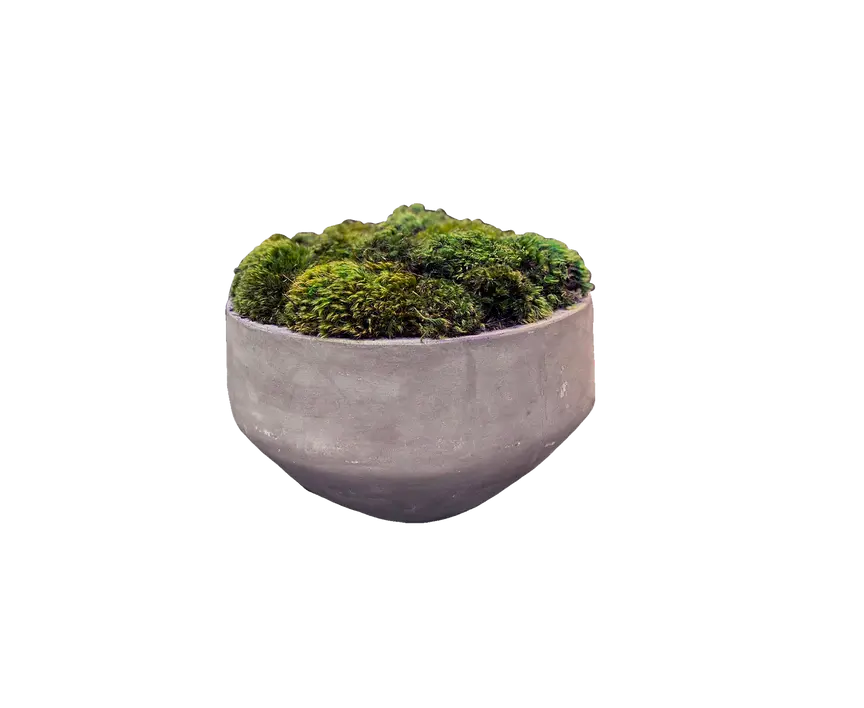 Tall Newport Concrete Moss Planter