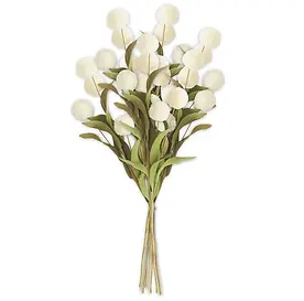 Pompom Bundle in White.webp