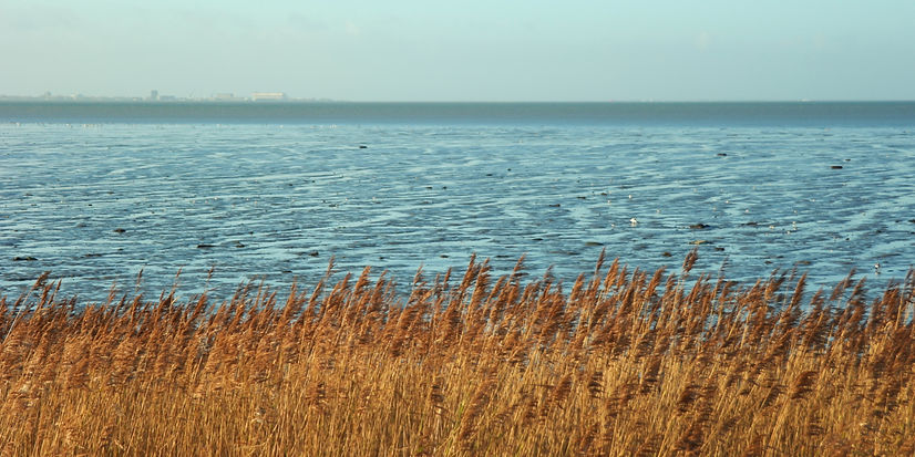 Umgebung 3_edited.jpg