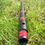 Thumbnail: D# Bansuri / Low Bb Flute (80cm)