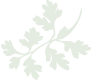 icn-parsley-light.png