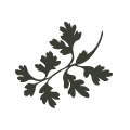 icn-parsley-square.png