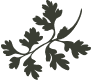 icn-parsley.png