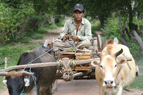 200610 Cambodja 333.jpeg
