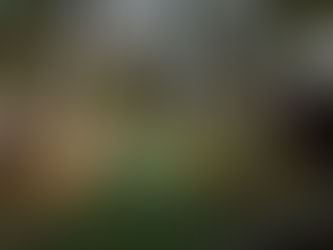 Fototip 27, licht meten