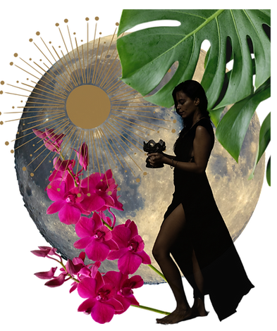 collage councilship (1).png