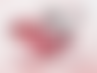 Christ in the Passover Seder - April 1, 2026