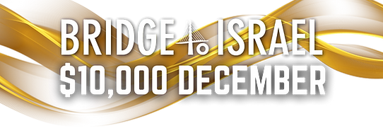 BTI december_edited.png