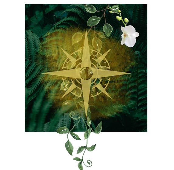 collage councilship (1).png