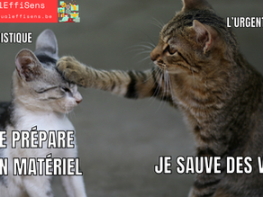 Le travail invisible des fonctions supports