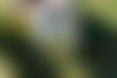 The Benefits of Goat Milk Skincare