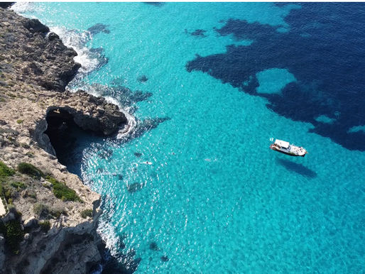 Why Our Palma Yacht Charters Deliver Exceptional Value Beyond Price