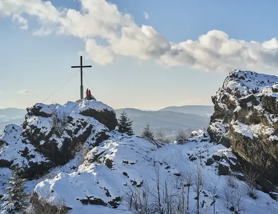 Wohnzimmer mit Aussicht Bayerischer Wald