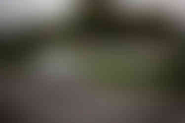 Porsche on Goodwood Motor Circuit for Dementia Support Charity Track Day