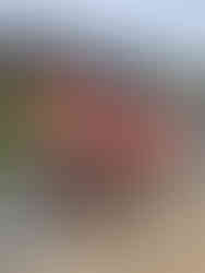 Cyclists after 25 mile or 50 mile route through the South Downs